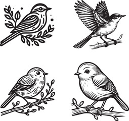set of birds on a branch