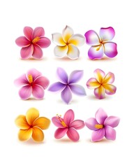 Exotic flowers, hibiscus, plumeria, and orchids clip art, isolated on white background