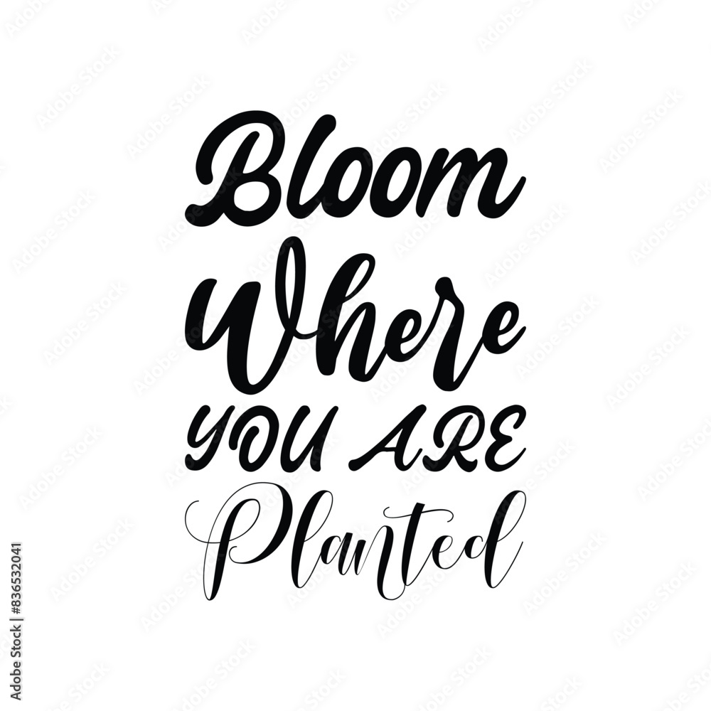 Wall mural bloom where you are planted black letters quote - Wall murals