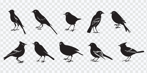 "Bird Silhouettes Vector: Detailed Outlines of Various Species and Poses"