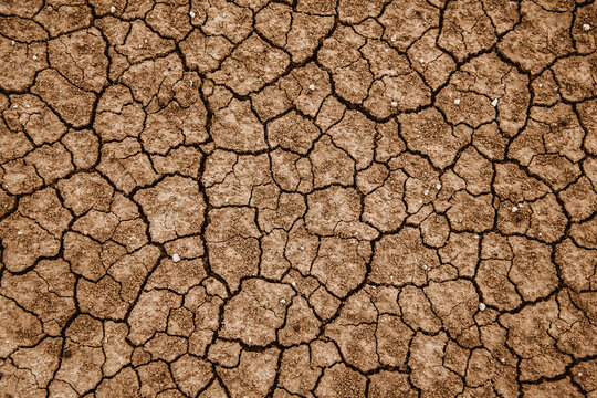 Dry brown cracked soil texture from above