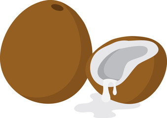  Coconut isolated on white background. Coconut fresh tropical nut in flat style