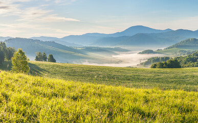 View of a picturesque valley in the morning light, fog, meadows and morning light, spring rural landscape
