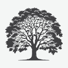 Fototapeta premium Print Majestic Linden Tree Silhouette, A Timeless Natural Beauty