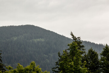 fog in the mountains