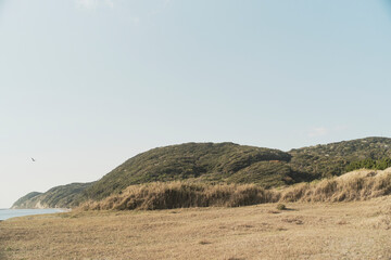 海沿いの野原
