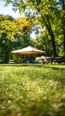 Sunlit Grass Field with Canopy Tent and Folding Furniture on a Camping Site