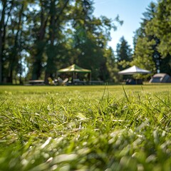 Sunny Camping Field with Canopy Tent and Folding Furniture