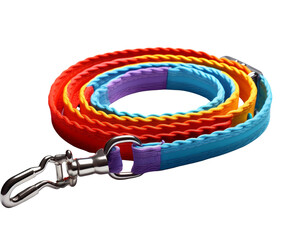 Fototapeta premium A colorful leash with a metal clip