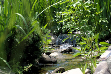 a stream and small waterfall surrounded by greenery
