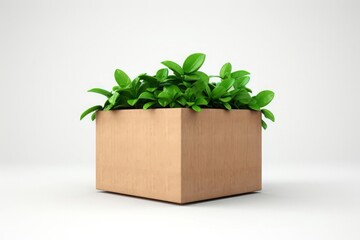 A highresolution picture of a cardboard box labeled PLASTIC with green leaves, set against a white background, featuring the message SAVE THE EARTH