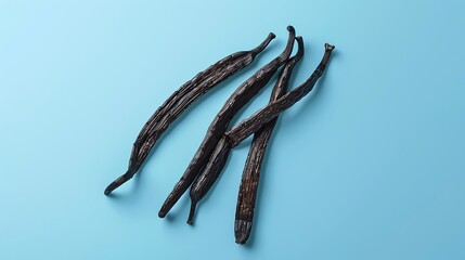 Vanilla pods isolated on a blue background