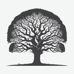 Print Majestic Silhouette of the Osage Orange Tree, A Timeless Natural Beauty