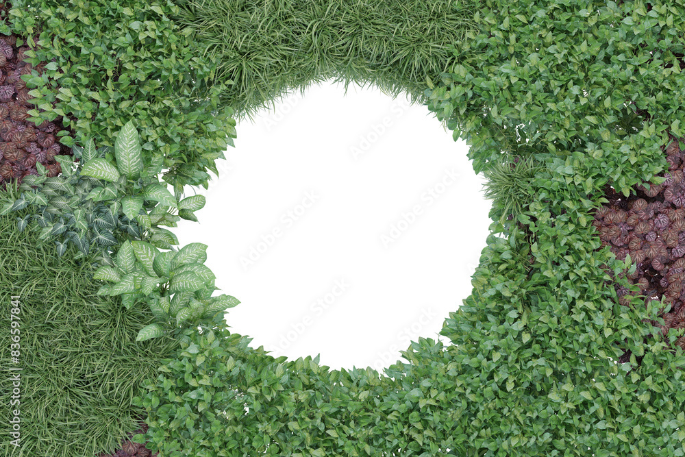 Poster various bush tree are arranged in a circular shape from above use for decoration with isolated on tr