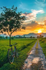 Naklejka premium Bicycle on a background of a tree and a green field. Colorful landscape isolated. Without a person