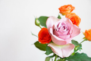 オレンジとピンクのばら