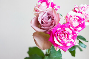 フラッシングとアヴニール