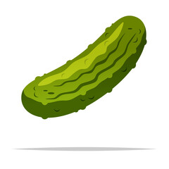 Pickled cucumber vector isolated illustration