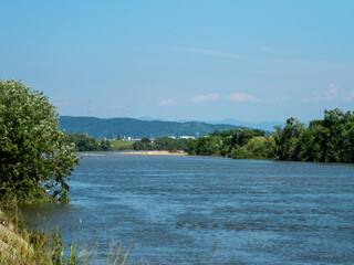 新緑が広がる夏の大和川