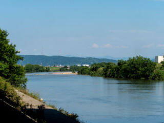 新緑が広がる夏の大和川