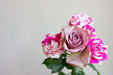 フラッシングと紫のばら