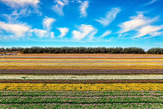 Hot sun and white clouds - Powered by Adobe
