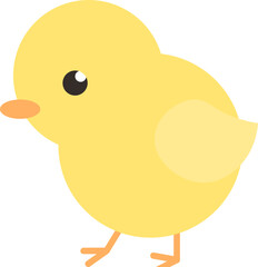 봄이 오네 병아리