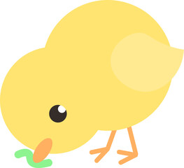 봄이 오네 병아리