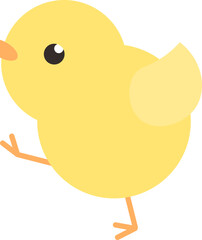 봄이 오네 병아리