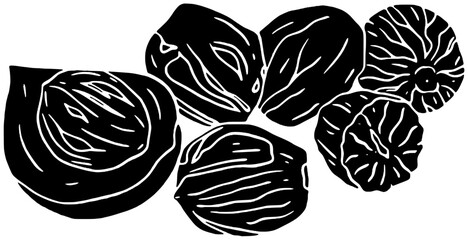 nutmeg illustration food silhouette anise logo ingredient icon pepper outline cooking indian herb seasoning spice cardamom cuisine garlic chili shape cinnamon ginger aroma for vector graphic