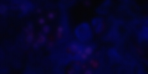 Experience the Whimsy of a Colorburst on a Cute and Colorful Abstract Background