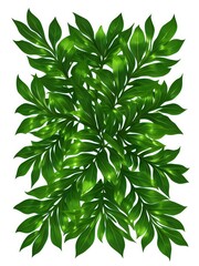 Tropical Leaves Illustration Image