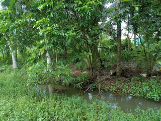 Views of the beautiful landscape of Kerala, India

