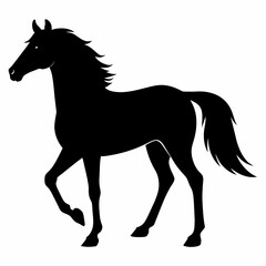 horse silhouette isolated on white