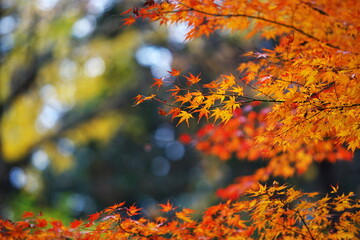 肌寒さを感じる季節