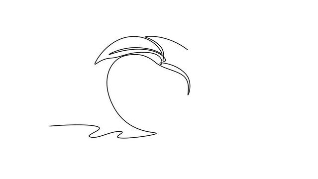 Animated self drawing of continuous line draw of whole and sliced healthy sweet organic peach for orchard logo identity. Fresh fruitage concept for fruit garden icon. Full length single line animation
