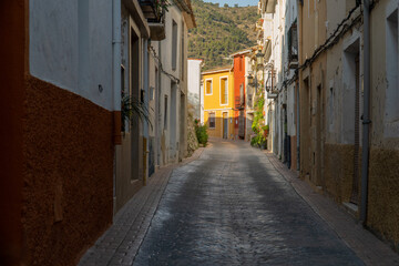 Obraz premium Plants and flowers in a beautiful town street, in Castell de Castells, Alicante, Comunidad Valenciana (Spain)