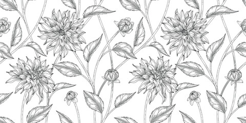 Dahlia floral pattern black and white illustration