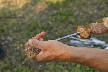 Fototapete bei efototapeten.de bestellen   