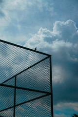 A bird is perched on a metal fence in front of a cloudy sky