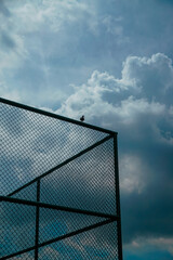 A bird is perched on a metal fence in front of a cloudy sky