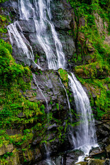 A waterfall with green leaves and rocks