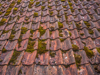 Red clay tiles with green moss