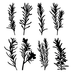 Rosemary silhouette herbs stencil templates