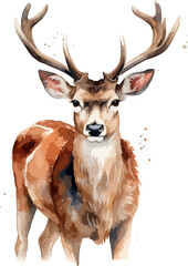 Watercolor deer clipart design illustration