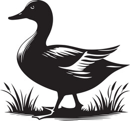 Best Duck vector, Silhouette, illustration