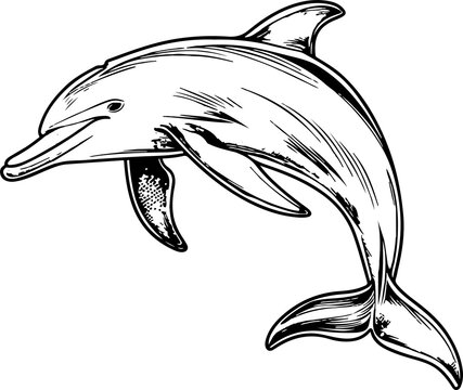 recommend clip art: Dolphin clipart design illustration