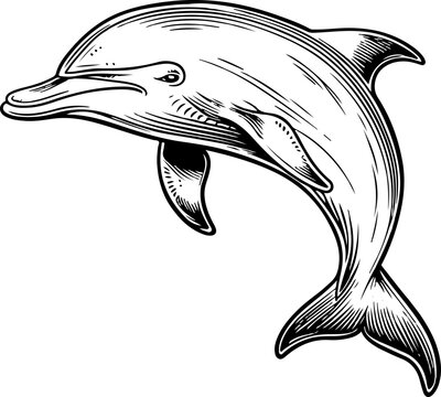 recommend clip art: Dolphin clipart design illustration