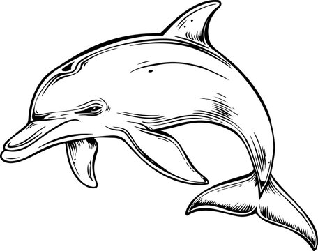 recommend clip art: Dolphin clipart design illustration