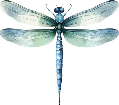 recommend clip art: Dragonfly clipart design illustration